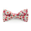 Red and Pink Climbing Rose Bowtie