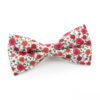 Red and Pink Climbing Rose Bowtie - Image 2