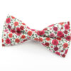 Red and Pink Climbing Rose Bowtie - Image 3