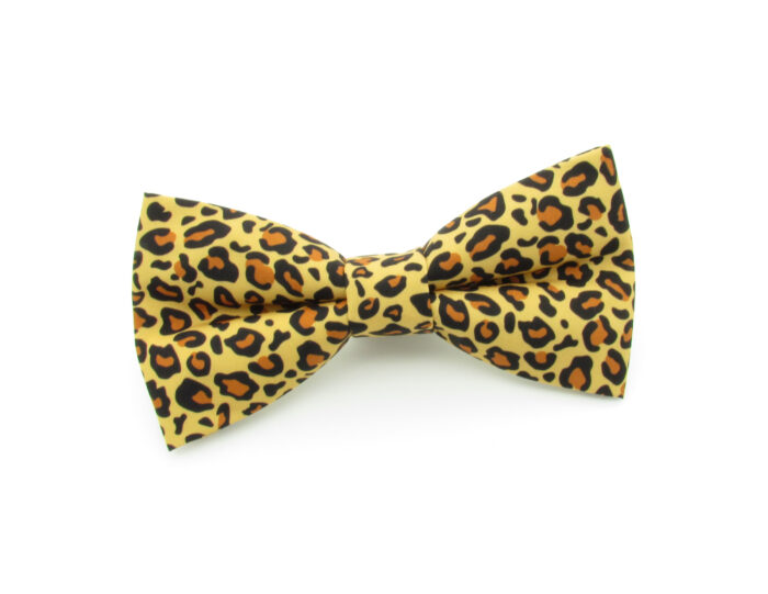 Leopard Print Bowtie Set - Image 2