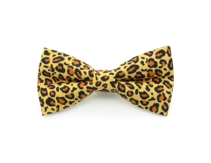 Leopard Print Bowtie Set
