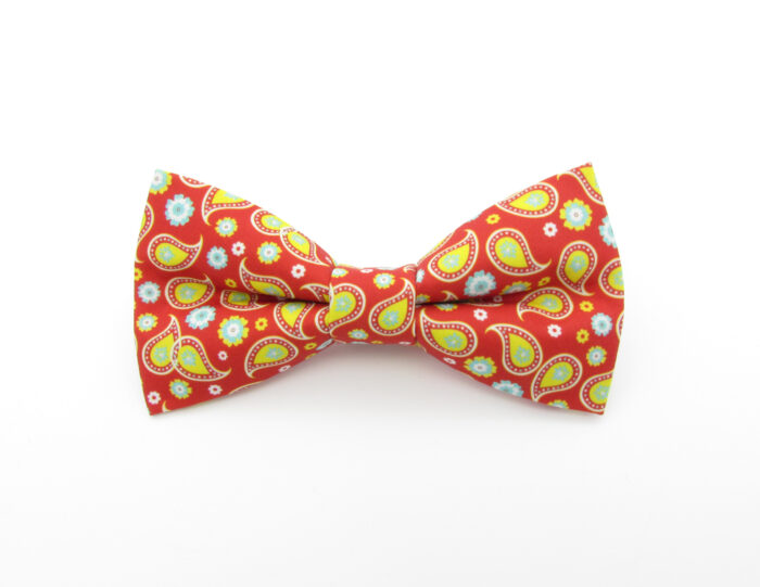 Bright Red & Yellow Paisley Bowtie Set