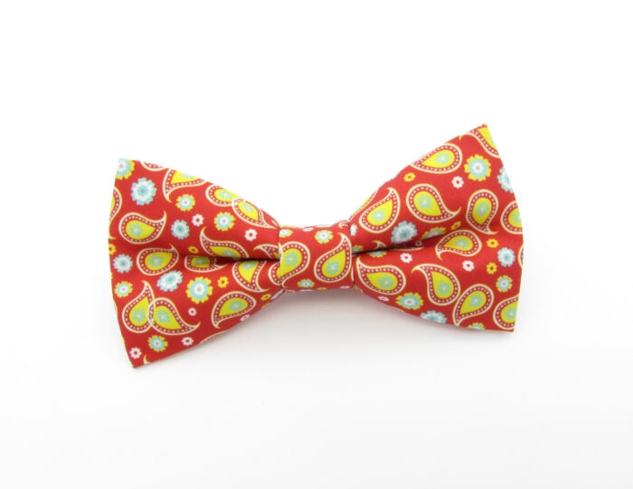 Bright Red & Yellow Paisley Bowtie Set - Image 2