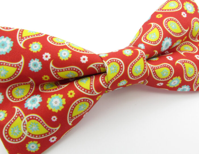 Bright Red & Yellow Paisley Bowtie Set - Image 4