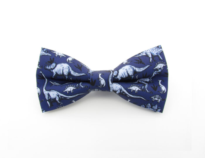 Blue Dinosaur Bowtie Set