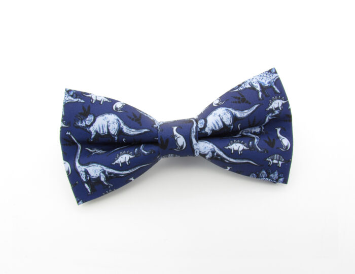 Blue Dinosaur Bowtie Set - Image 2