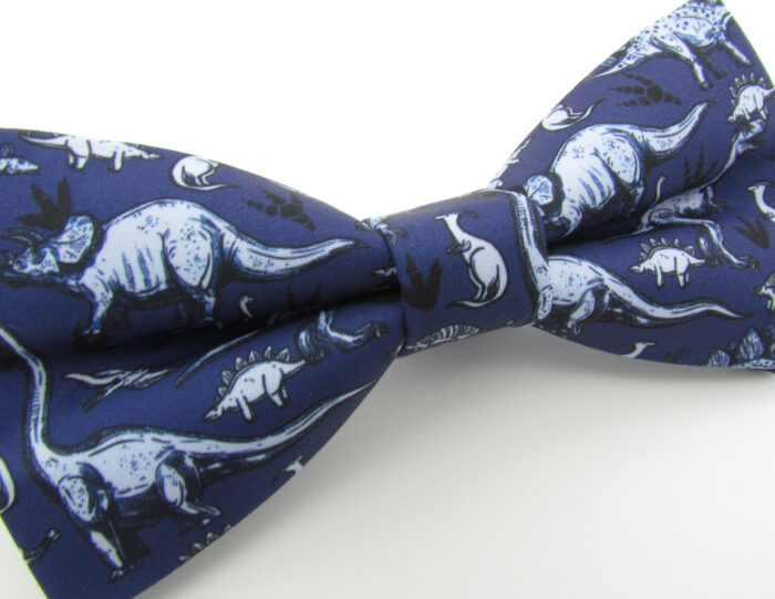Blue Dinosaur Bowtie Set - Image 4