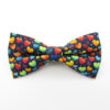 Colourful Heart Patterned Bowtie Set