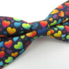 Colourful Heart Patterned Bowtie Set - Image 4