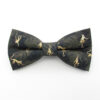Spider Monkey Bowtie