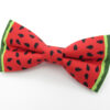 Red Watermelon Slice Bowtie Set - Image 3