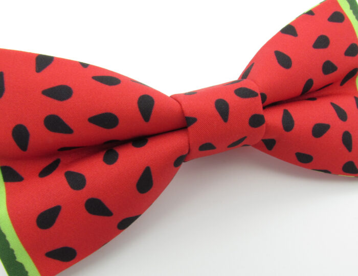 Red Watermelon Slice Bowtie Set - Image 8