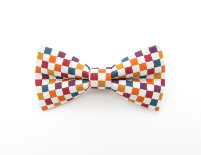 Autumn Check Patterned Bowtie