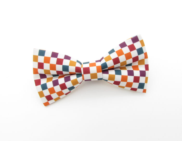 Autumn Check Patterned Bowtie - Image 2