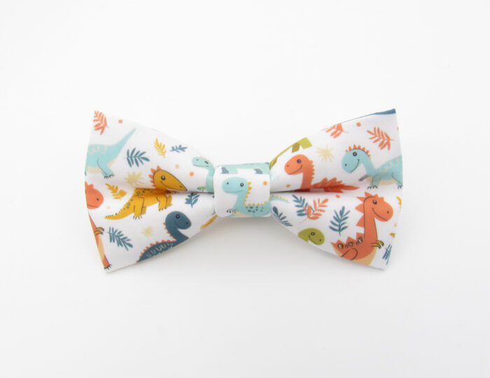 Cute and Colourful Dinosaur Bowtie