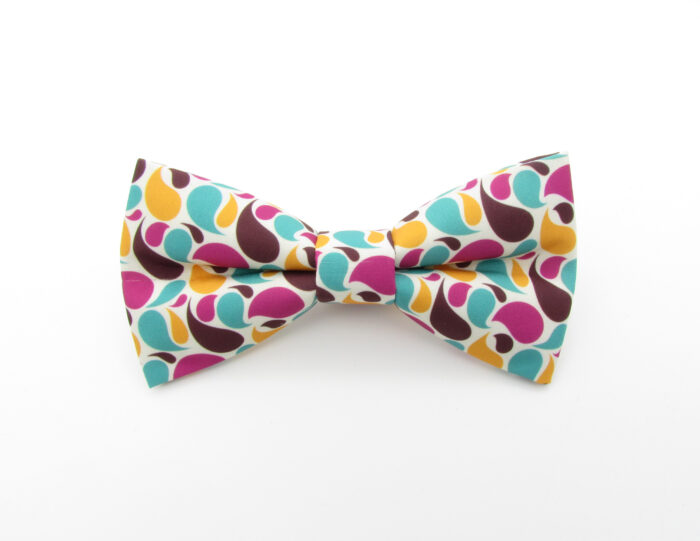 Bright Modern Paisley Bowtie Set