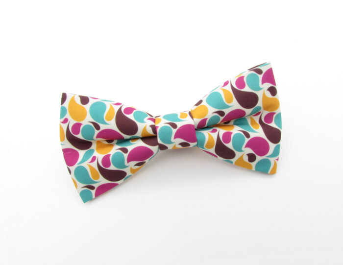 Bright Modern Paisley Bowtie Set - Image 2