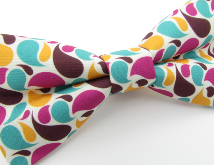 Bright Modern Paisley Bowtie Set - Image 9