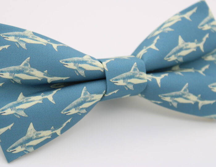 Cream and Blue Shark Bowtie & Faux Pocket Square - Image 4