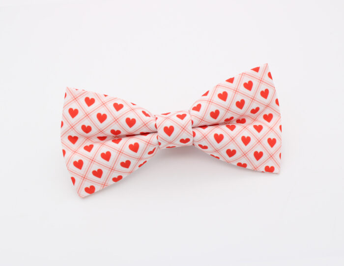 Red Valentine Hearts Bowtie & Faux Pocket Square - Image 2