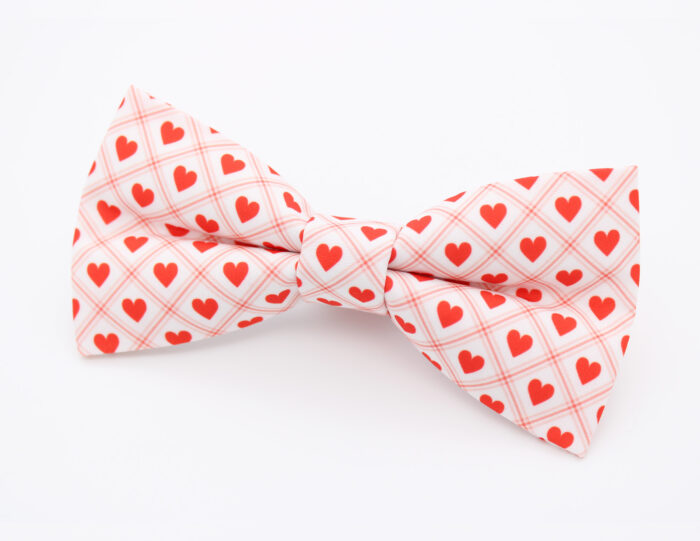 Red Valentine Hearts Bowtie & Faux Pocket Square - Image 3