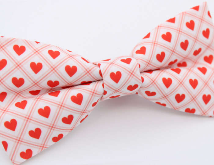 Red Valentine Hearts Bowtie & Faux Pocket Square - Image 4