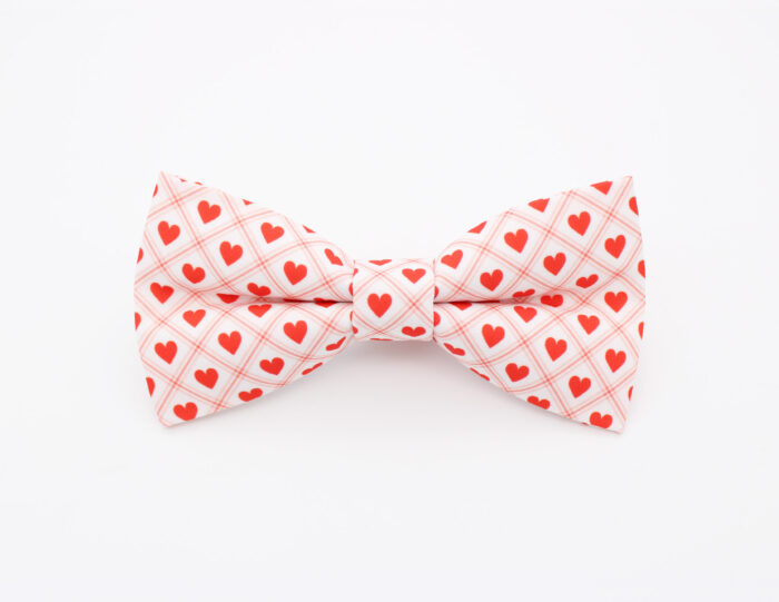 Red Valentine Hearts Bowtie & Faux Pocket Square