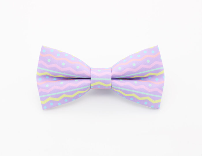 Pastel Zigzag Polka Dot Bowtie