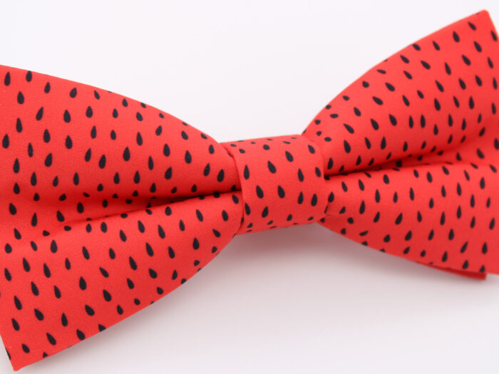 Red Strawberry Seed Print Bowtie & Faux Pocket Square - Image 4