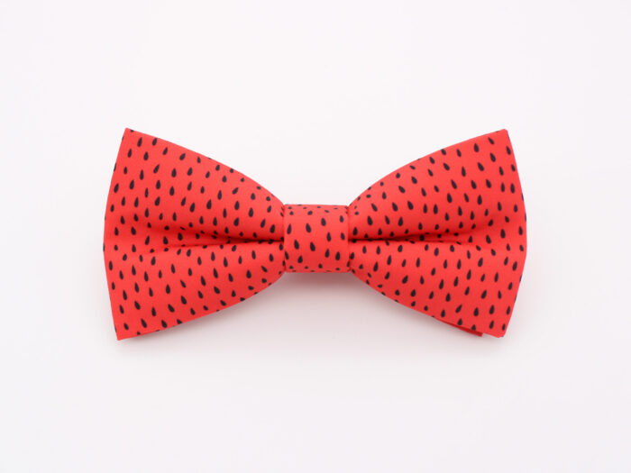 Red Strawberry Seed Print Bowtie & Faux Pocket Square
