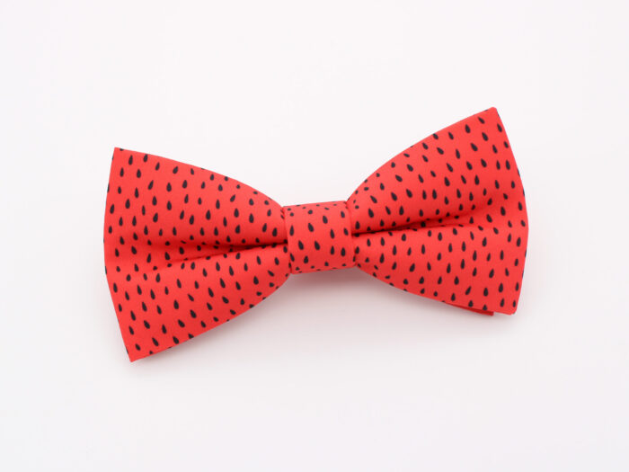 Red Strawberry Seed Print Bowtie & Faux Pocket Square - Image 2