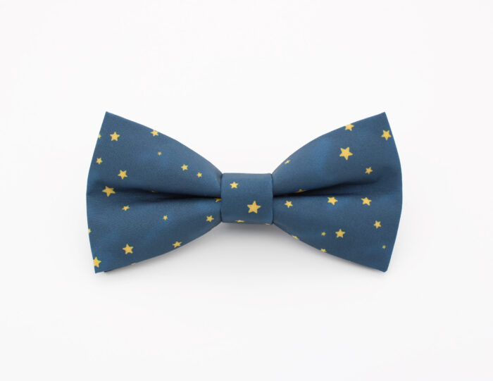Starry Night Bowtie & Faux Pocket Square