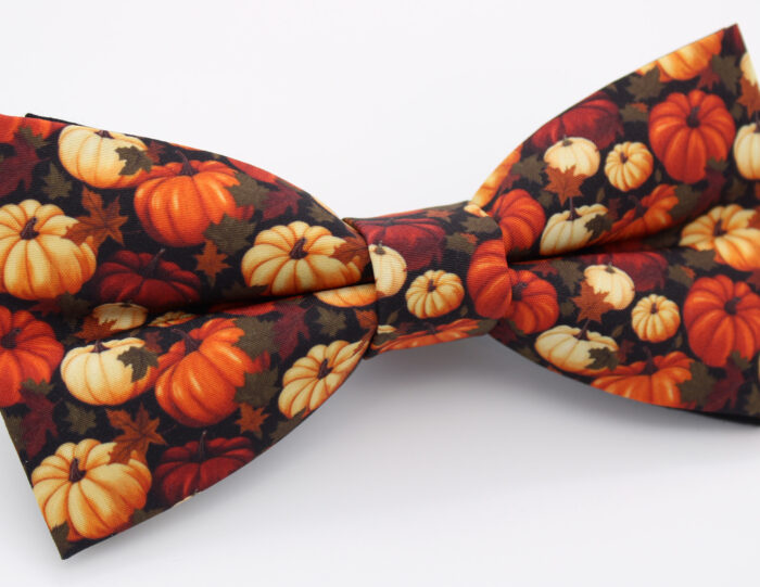 Pumpkin Print Bowtie & Faux Pocket Square - Image 7
