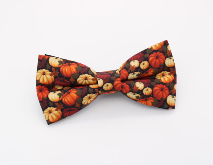 Pumpkin Print Bowtie & Faux Pocket Square - Image 2