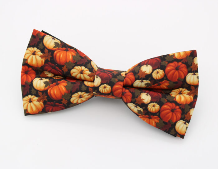 Pumpkin Print Bowtie & Faux Pocket Square - Image 6